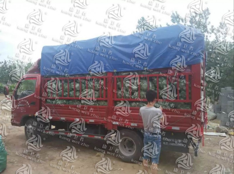 一次蘑菇视频污污餐具回收